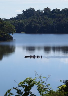 Tambopata reserve 4 days